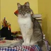 Отзыв от Ирина Краснова